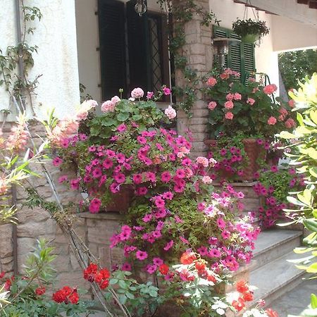 La Zattera Camere San Vincenzo Exterior foto
